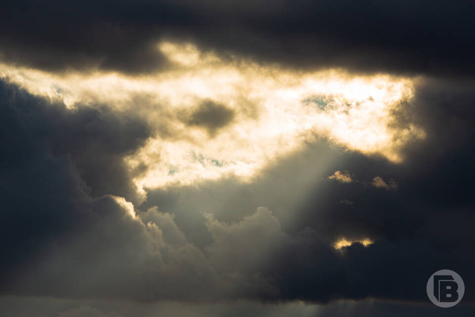    Фото: «Городские вести»