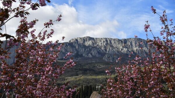    © РИА Новости . Алексей Мальгавко