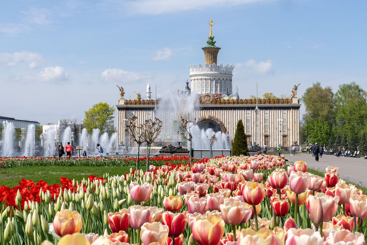    Источник: пресс-служба ВДНХ