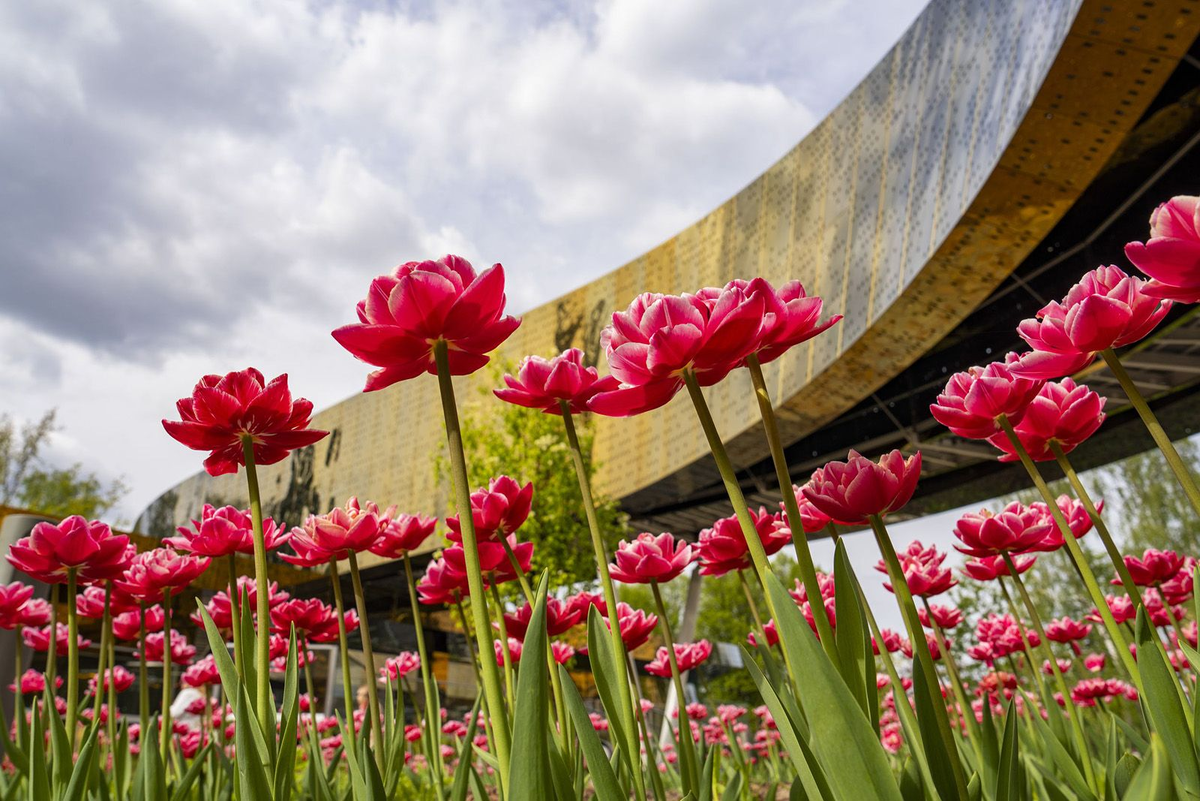    Источник: пресс-служба ВДНХ