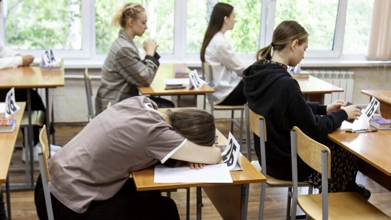     ЕГЭ по литературе в барнаульском лицее №101 Анна Зайкова