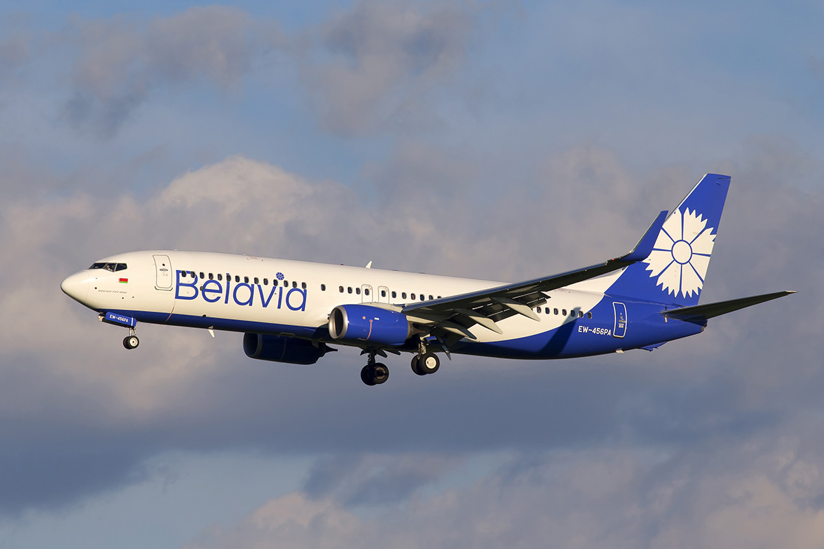    Фото: Artur Buibarov / Shutterstock.com