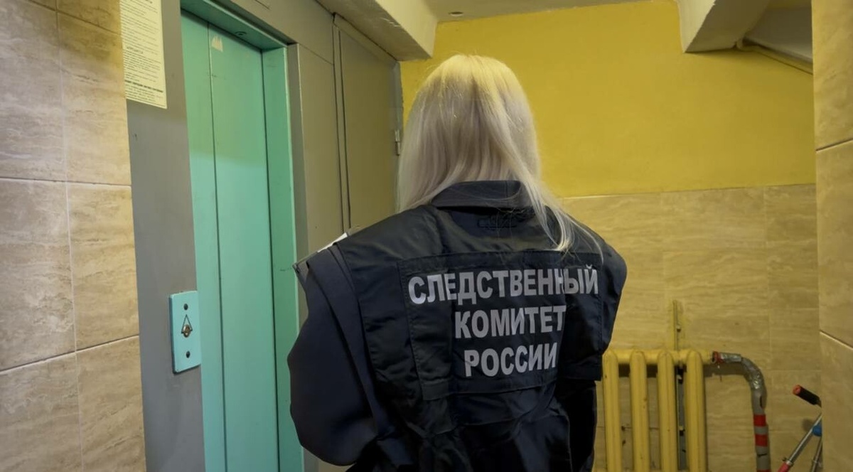 Фото: пресс-служба ГСУ СК России по Петербургу