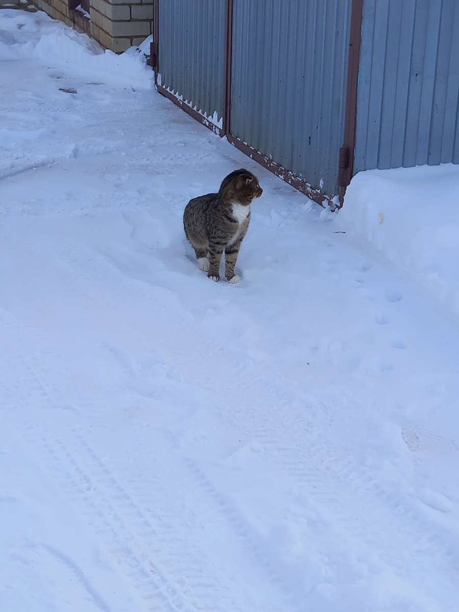 Внимательныйй взгляд