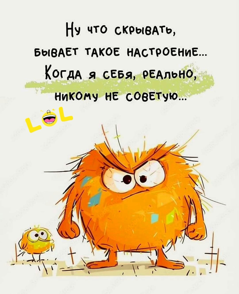 Фото из открытых источников интернета