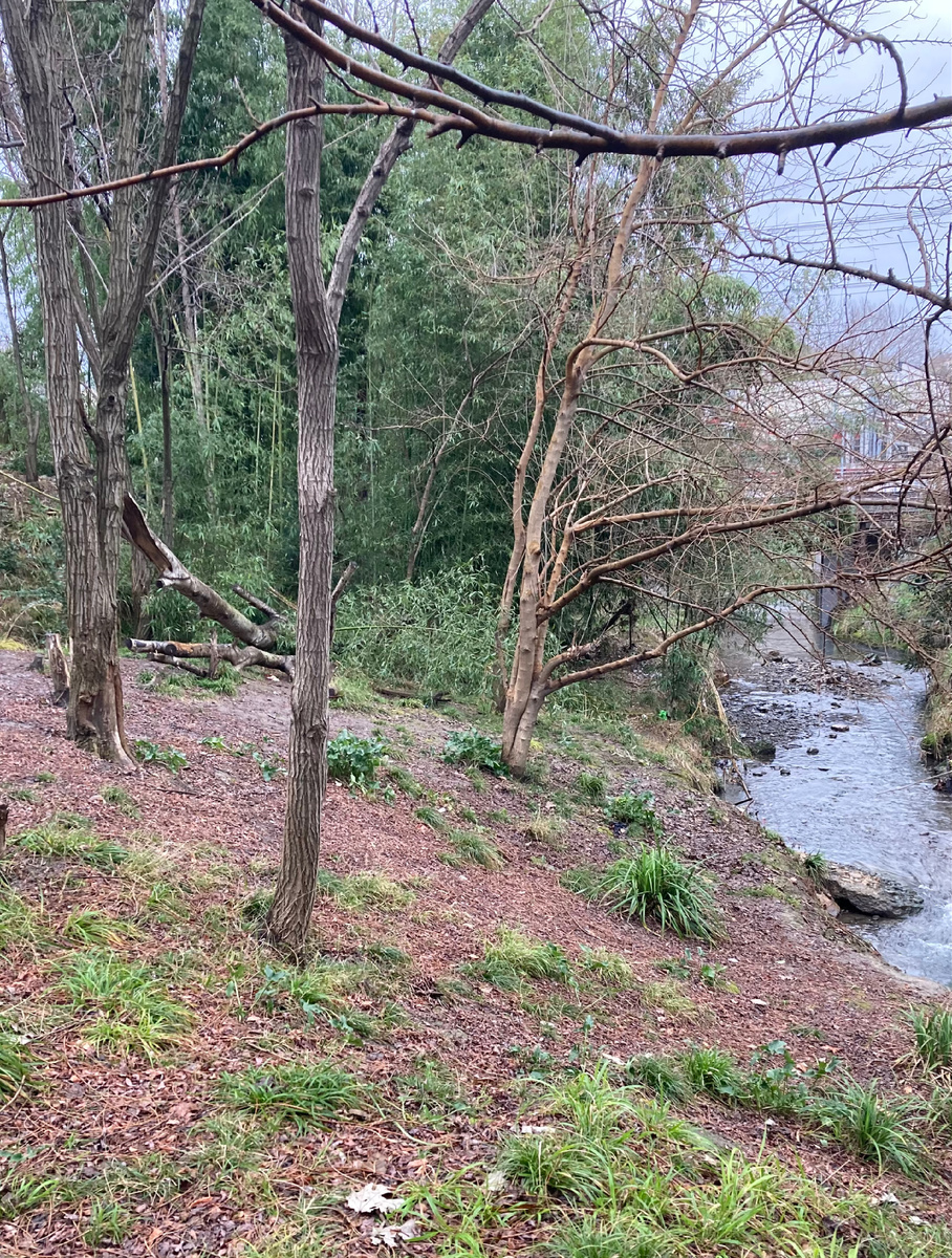 Хлудовский ручей.