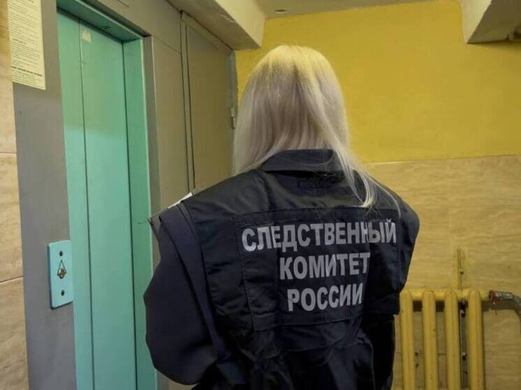     Следователь по Московскому району начал проверку. Фото: пресс-служба Главного следственного управления СК России по Санкт-Петербургу