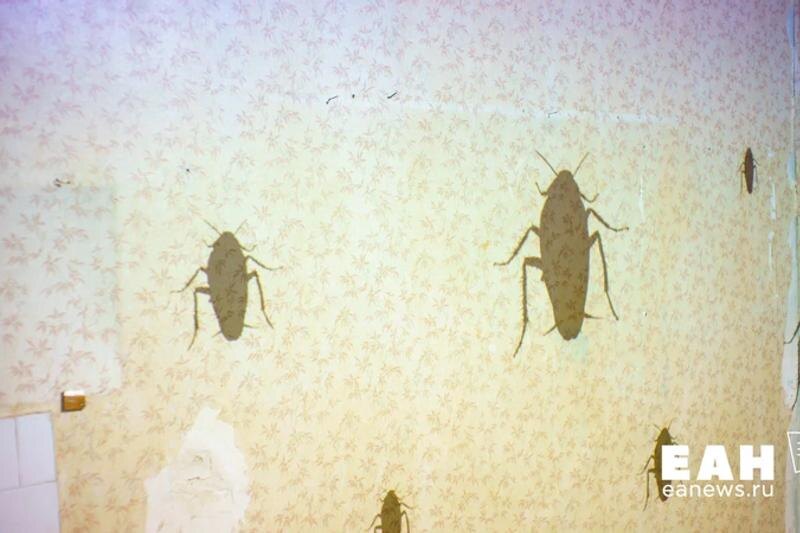    ЕАН. Тараканы