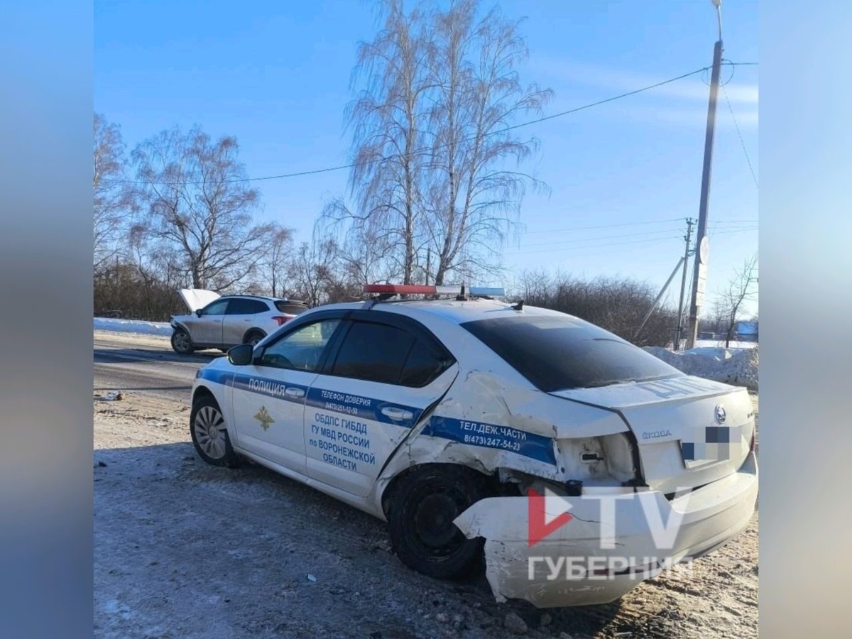     Фото: предоставлено очевидцем