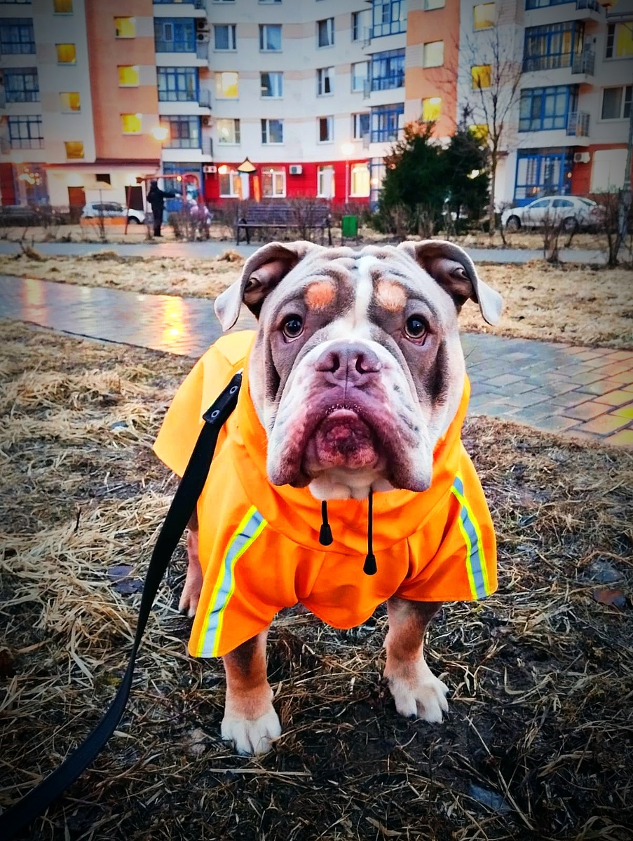 Чем мы вам помешали,кожаные человеки?