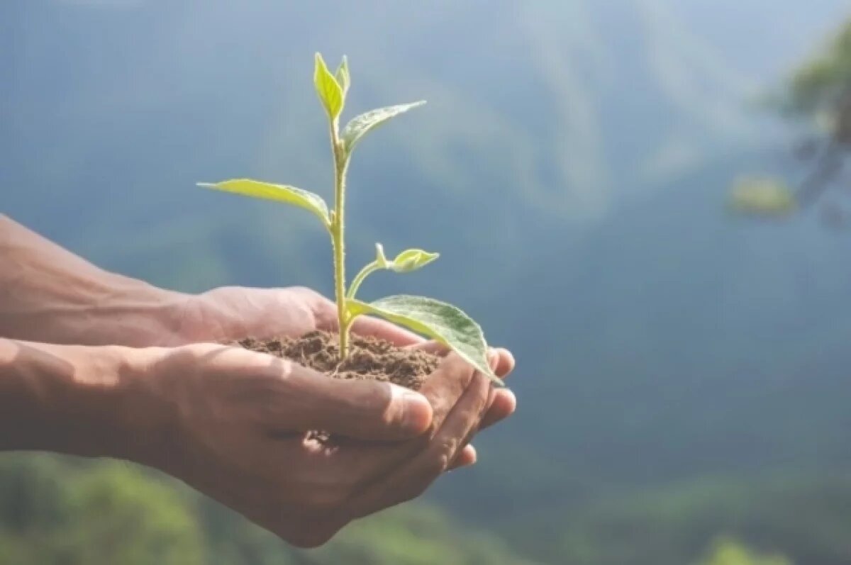    Югорчане могут проверить свои знания об экологии округа