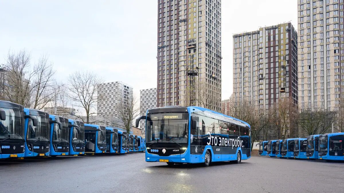    Фото: vm.ru Полина Котова