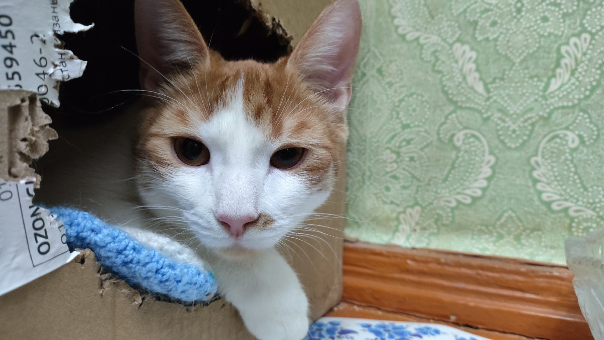 фото автора