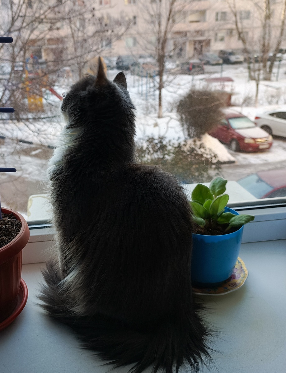 Фото автора