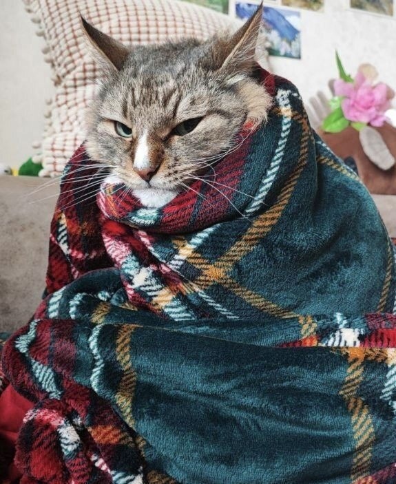 иллюстрация из яндекс картинки.