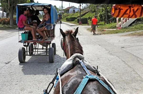 Фото:
Мария Плотникова / РИА Новости
