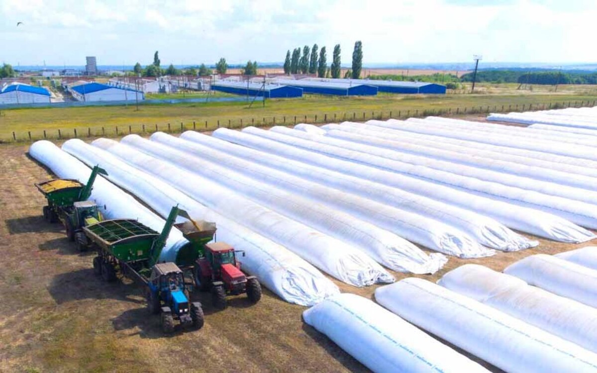    Суд ввел наблюдение в отношении «Арлан-машин» — структуры ростовской «Лилиани» в ОЭЗ «Липецк» Фото с сайта правительства Липецкой области