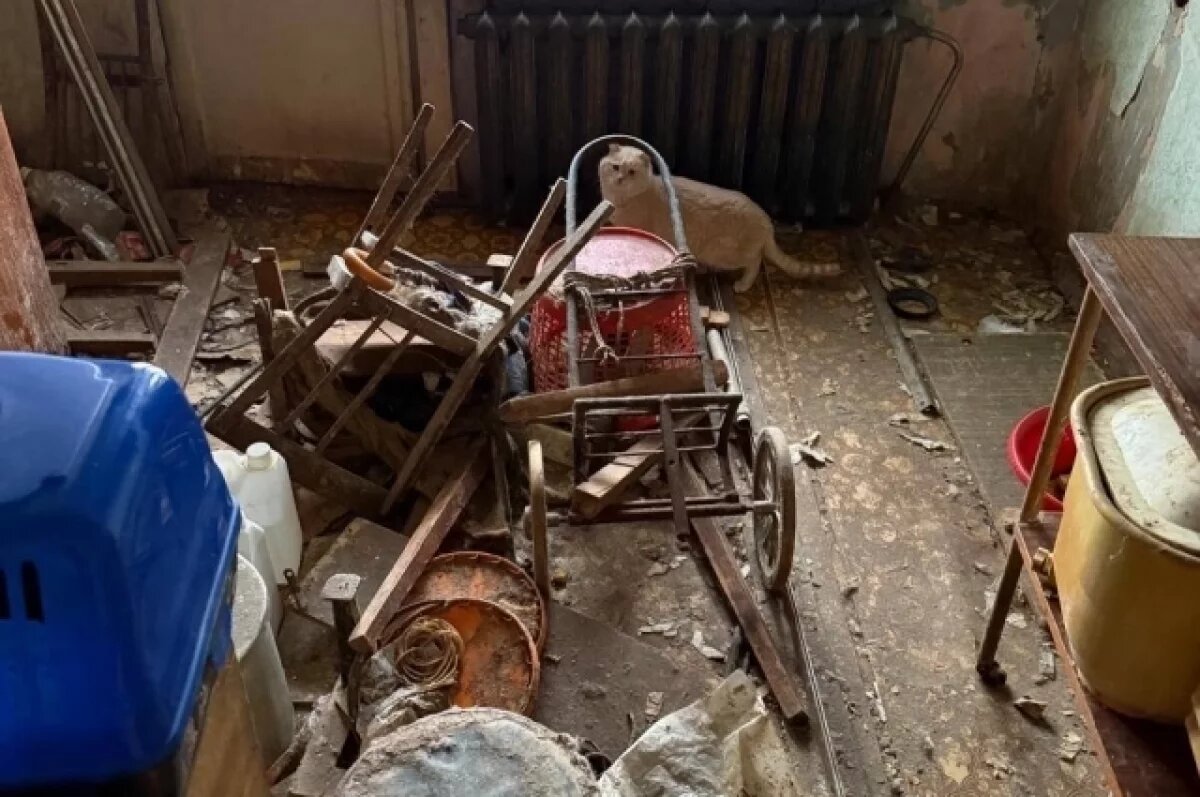    Из квартиры жительницы Екатеринбурга изъяли десять кошек