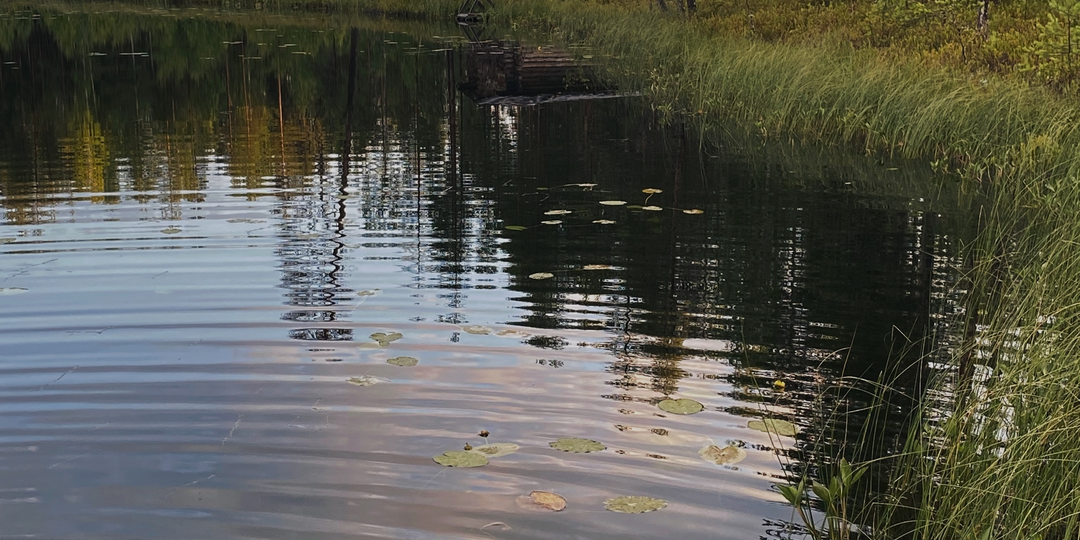 Леший в коми преданиях-добряк или злодей?