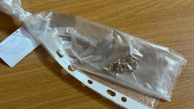 Фото: Пресс-служба УТ МВД России по СЗФО