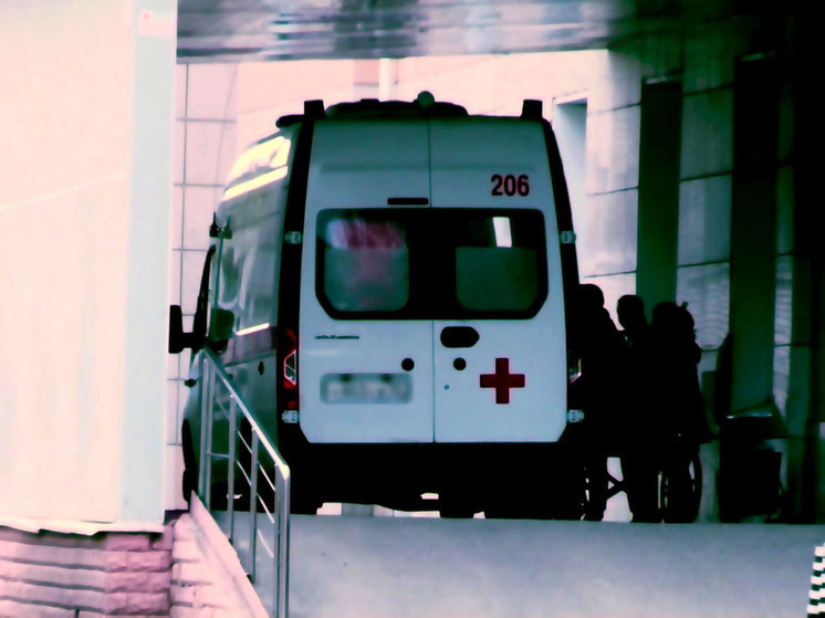     Фото: Василий Осипов