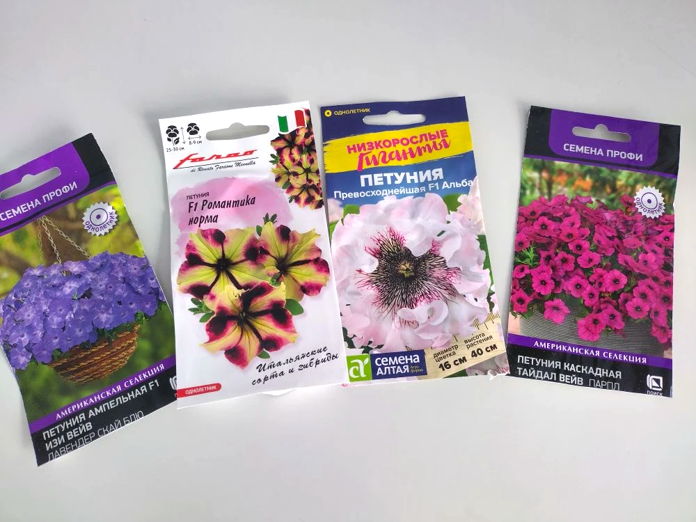 сорта в этом году