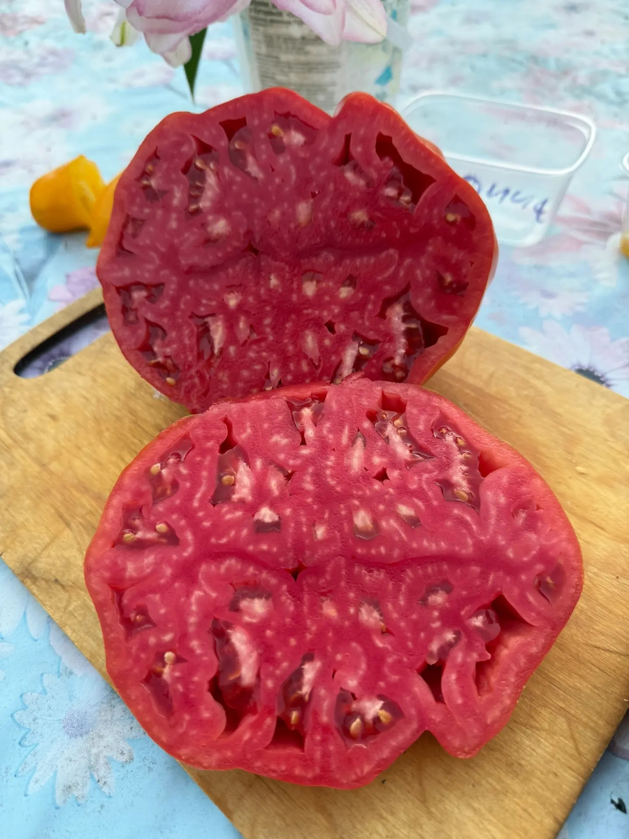 Гигант Фарина