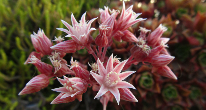    Изображение от wirestock на Freepik