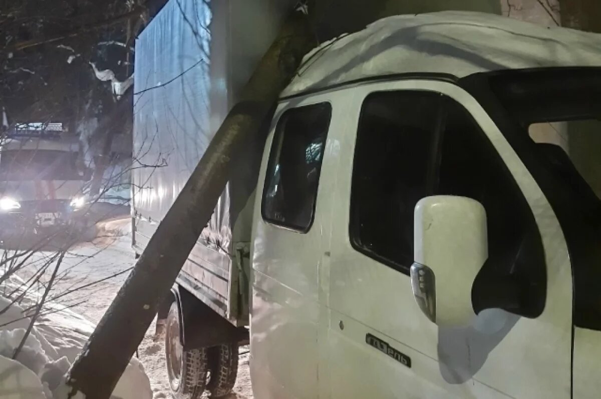    В Коврове спасатели-альпинисты вызволили машину из-под упавшего дерева