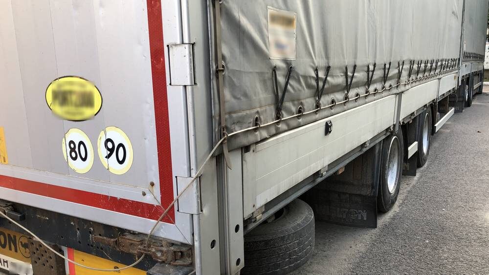    Фото: «Брянские новости»