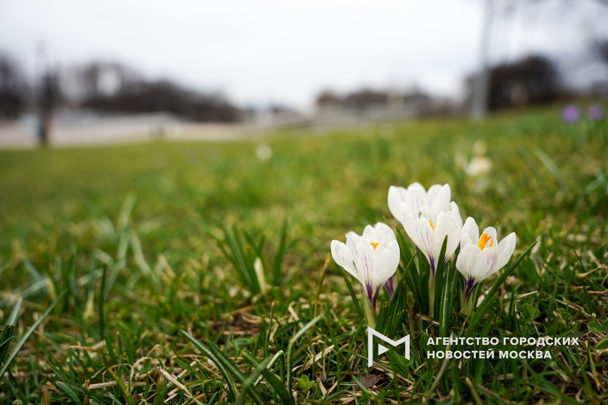Фотограф: Александр Авилов