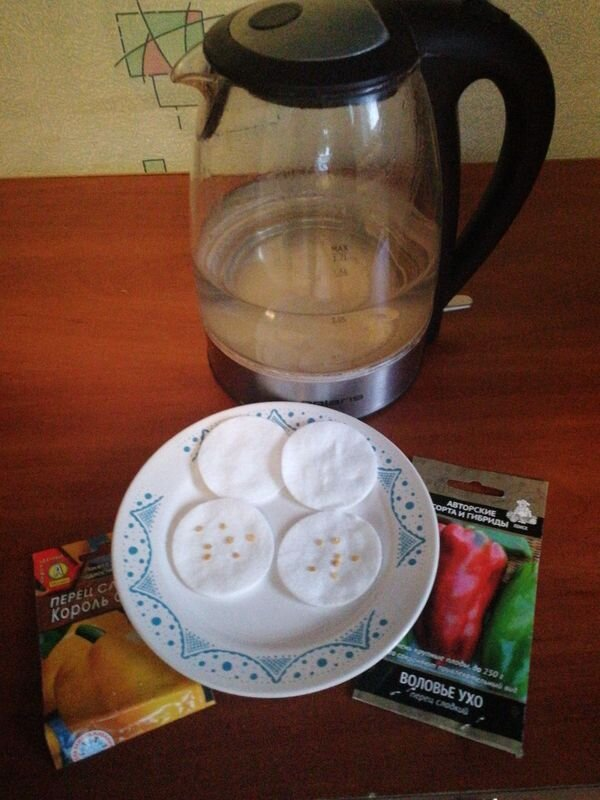 Обработка семян перца кипятком, фото автора 