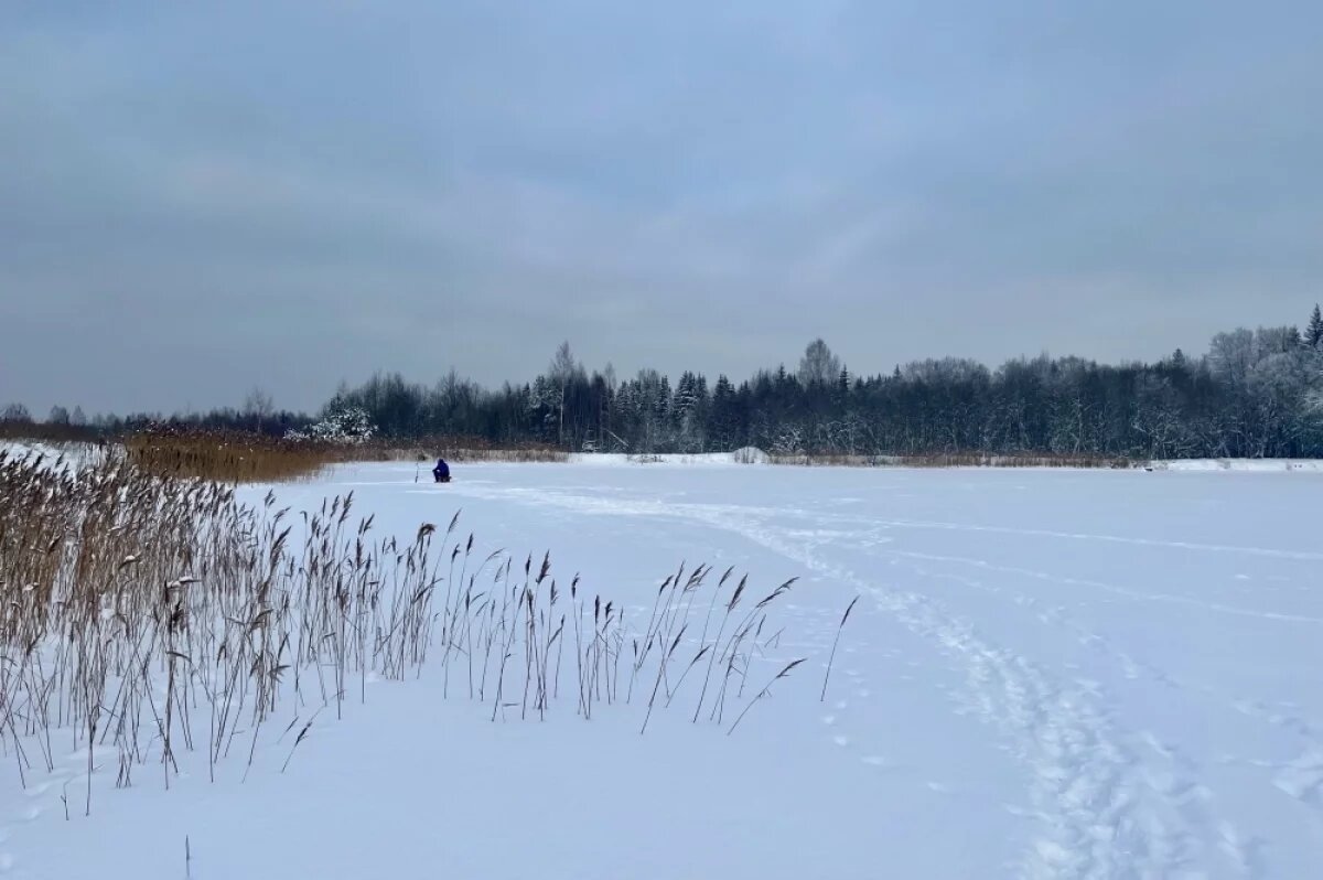    Рыбаки требуют общественных слушаний о сносе гаражей на берегу Неро