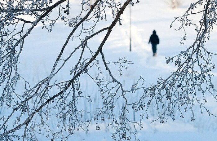    Агентство «Москва»