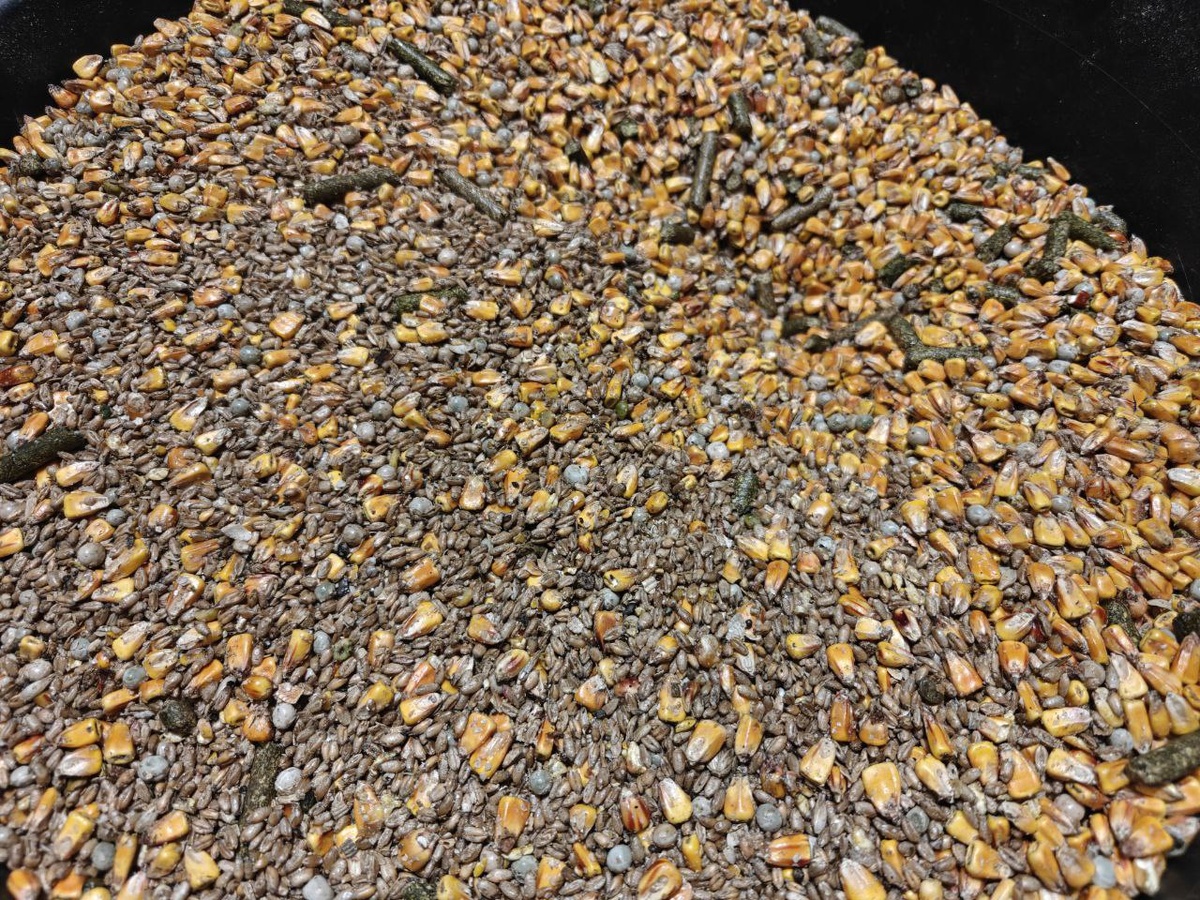 Зерносмесь с маслом и фузой