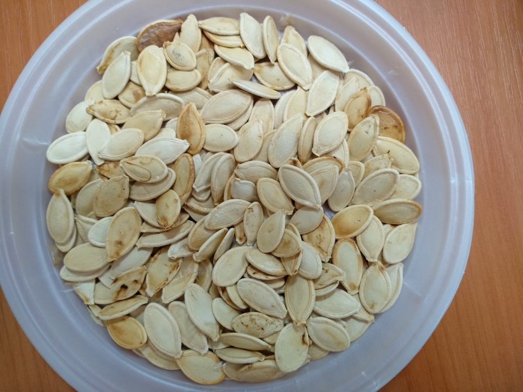  Семена тыквы