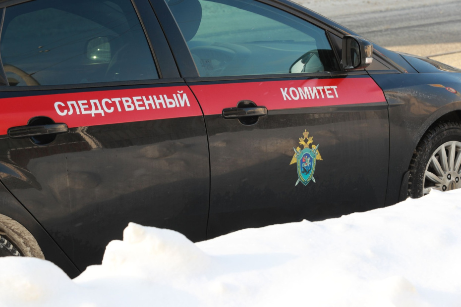    Сергей Булкин/NEWS.ru