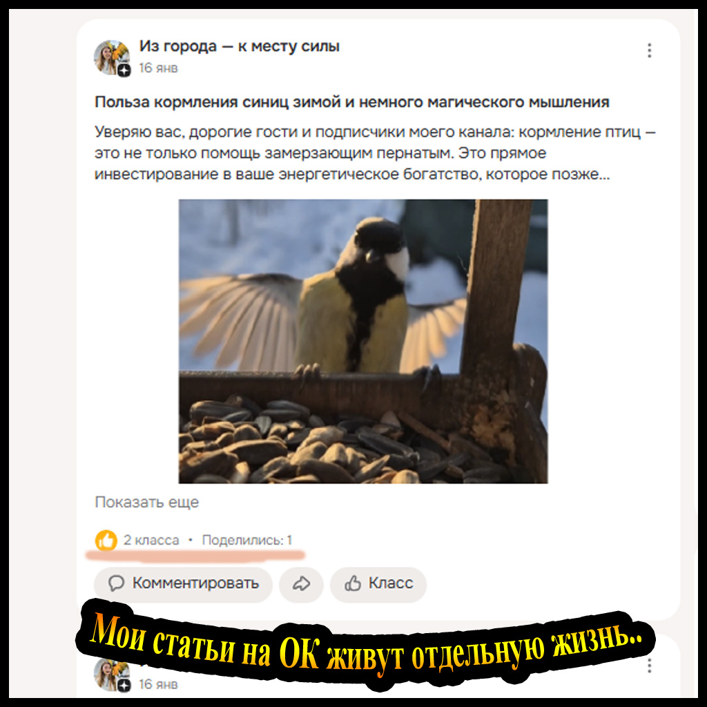 сама удивилась
