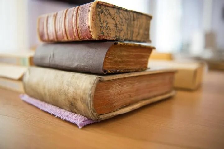 Фото: Андрей Ткаченко