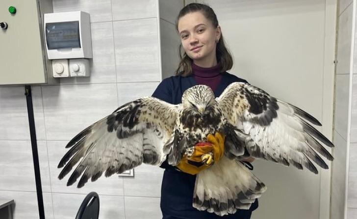    Фото комитет ветеринарии