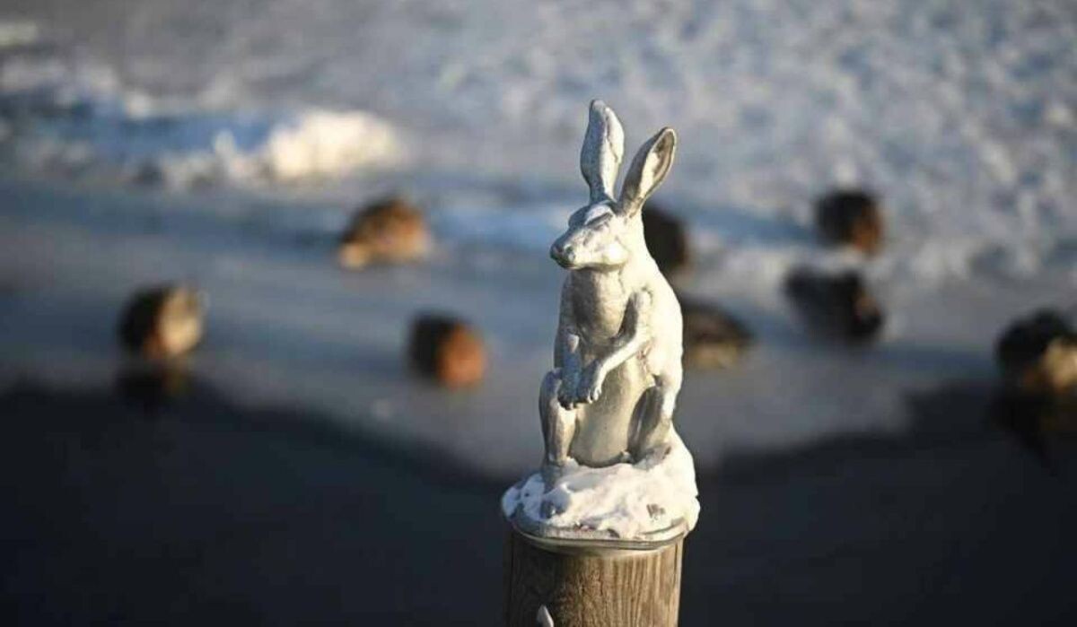     Памятник зайцу в Санкт-Петербурге. Источник: spb.kp.ru Автор фото: Алексей Булатов