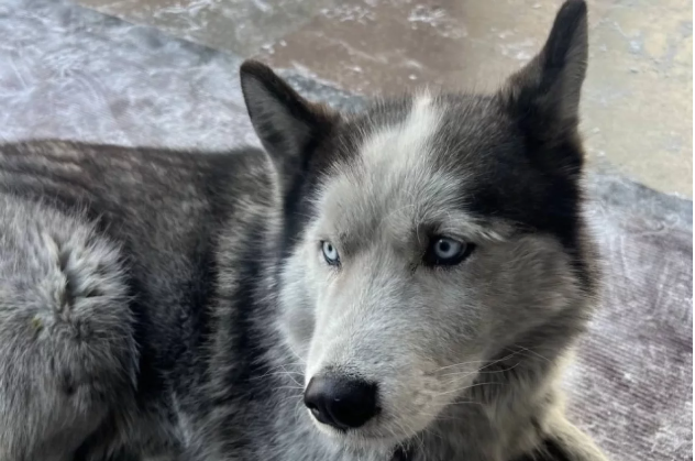 ТуваМедиаГрупп / ТуваМедиаГрупп