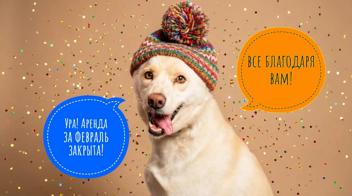 Аренда за февраль, включая вывоз мусора и все платежи, ПОЛНОСТЬЮ ОПЛАЧЕНА!