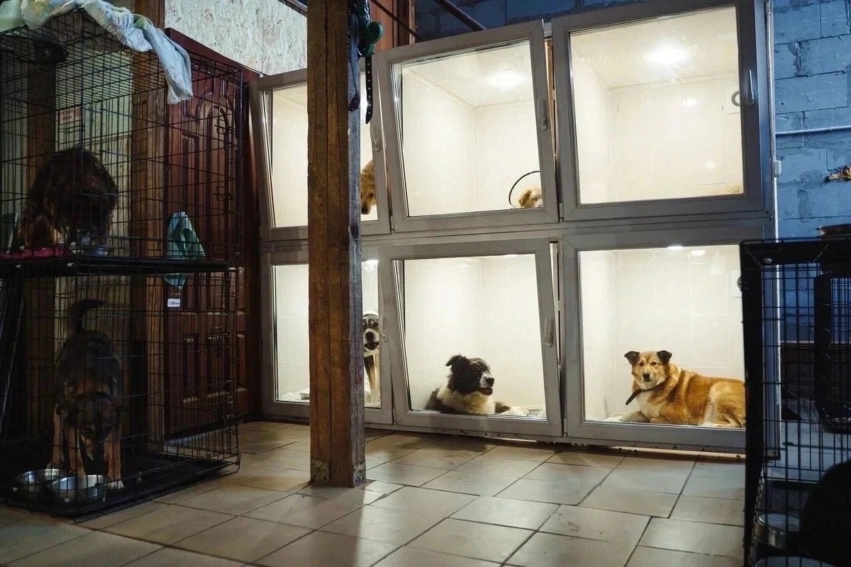 Мысли о том, что 500 жизней, среди которых старички и инвалиды, могут оказаться на сибирском морозе, не давали спать... 