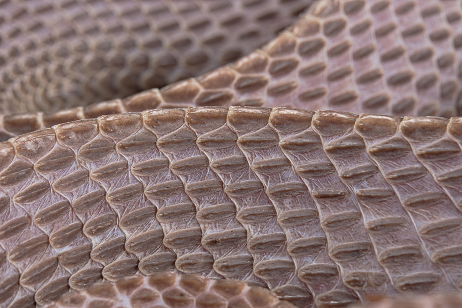    Clément Carbillet/imagebroker/Global Look Press