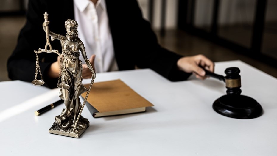 Автор фото: Pickadook / Shutterstock / FOTODOM