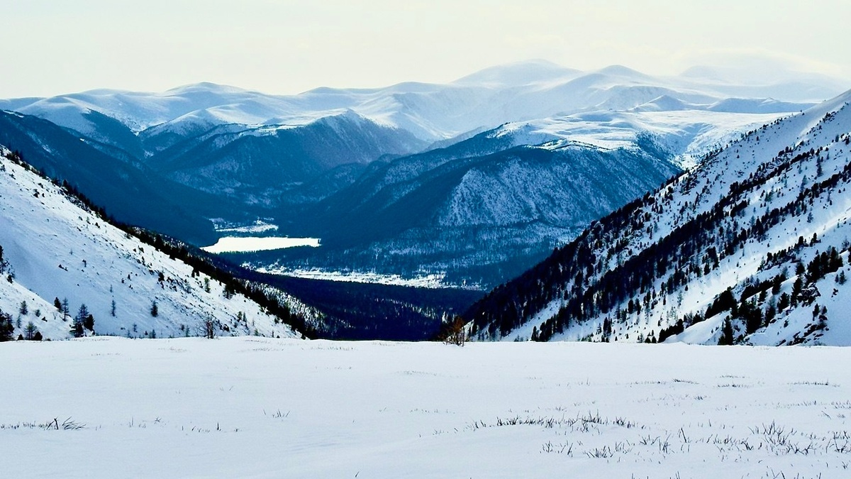 vk.com/zapovednik_khakassky