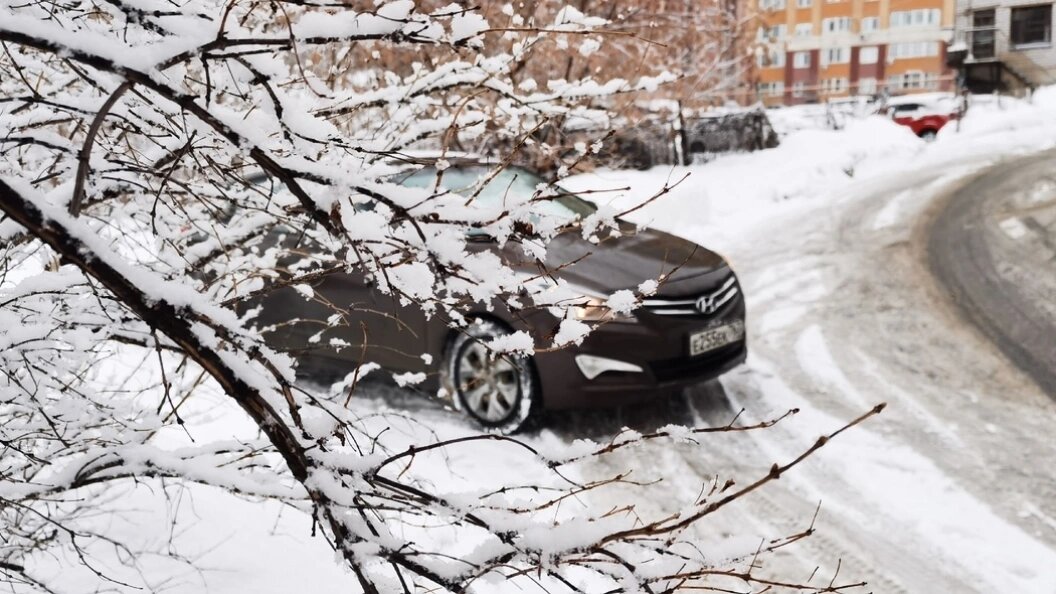    фото: Царьград