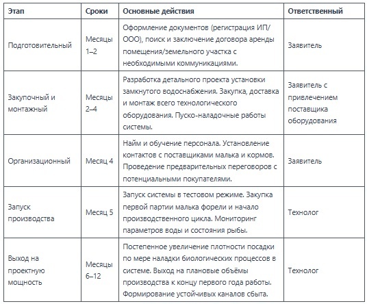 этапы запуска проекта