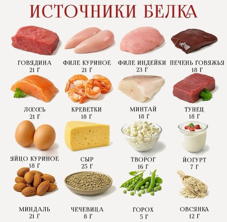 Источники белка